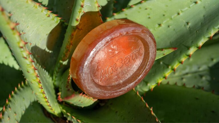 Benefits of Aloe Ferox for Skin: A Natural Skincare Guide